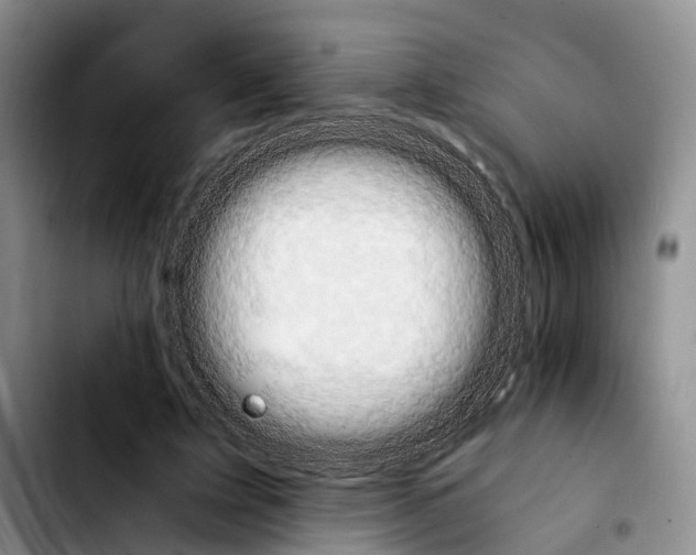 X0000103940595200810101418