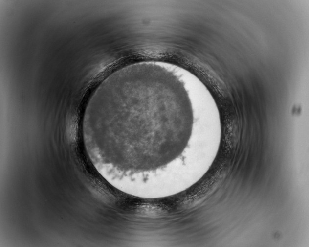 X0000103940596200810101418