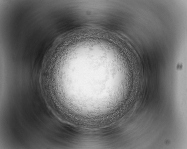 X0000103940599200810101418