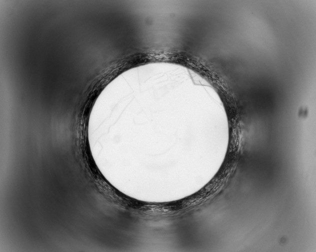 X0000103940601200810101418