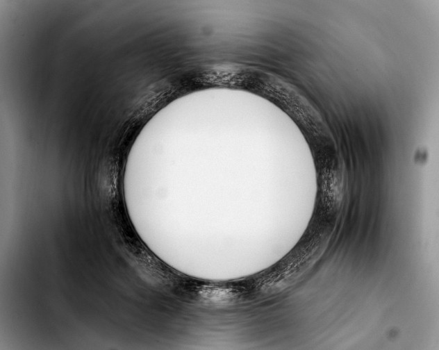 X0000103940602200810101418