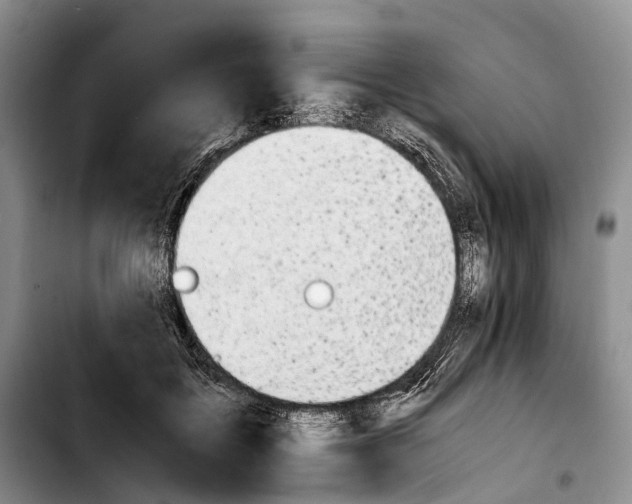 X0000103940603200810101418