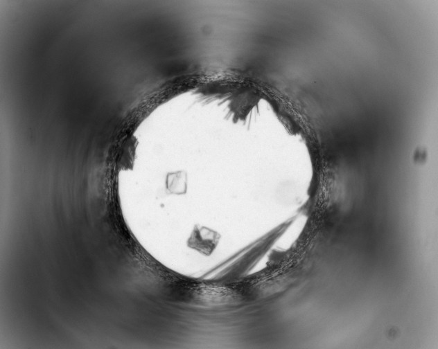 X0000103940605200810101418