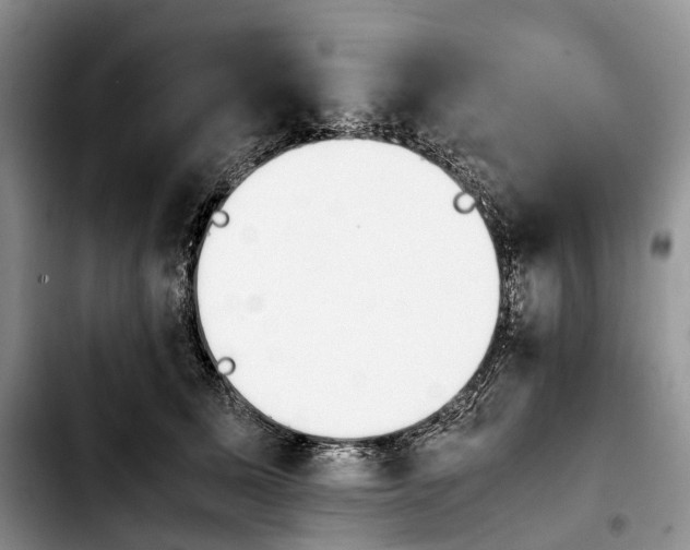 X0000103940611200810101417