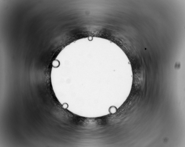 X0000103940613200810101417