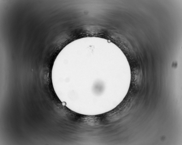 X0000103940615200810101417