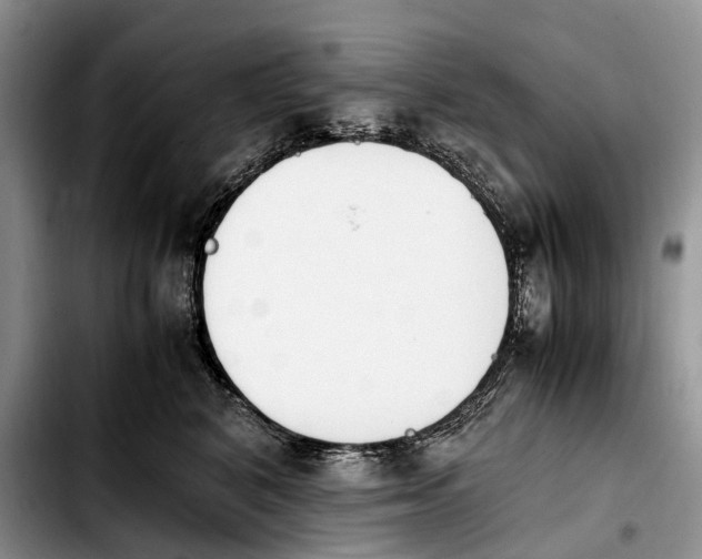 X0000103940616200810101417