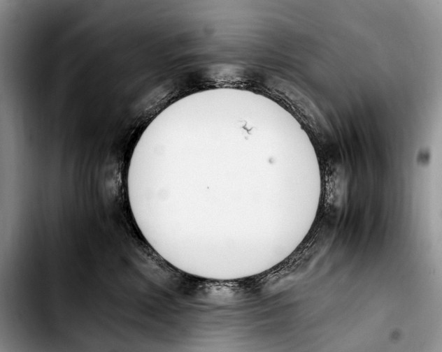 X0000103940618200810101417