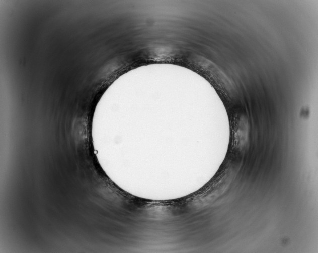 X0000103940620200810101417