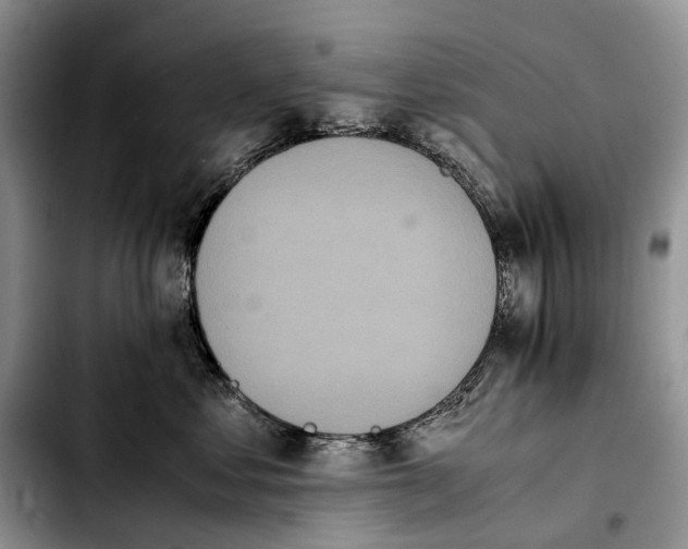 X0000103940621200810101417