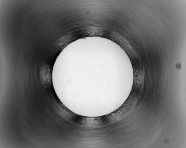 X0000103940622200810101417