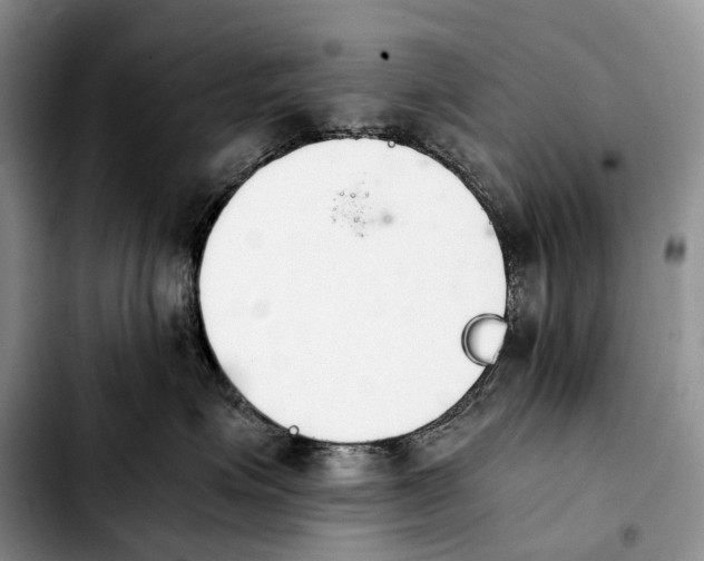 X0000103940623200810101417