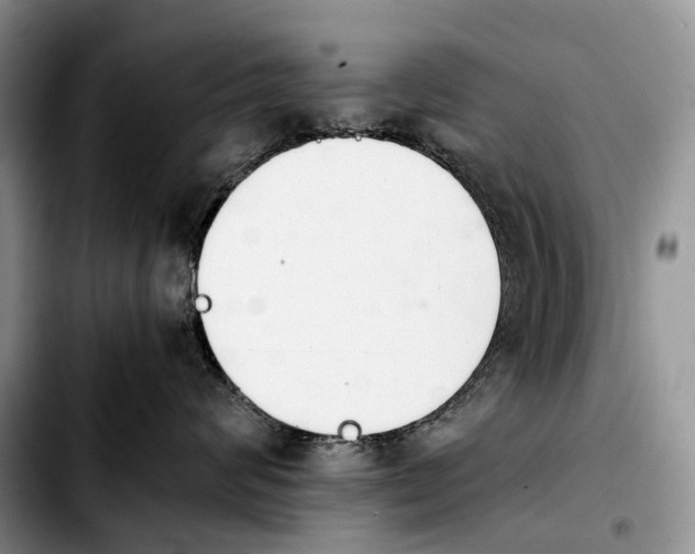 X0000103940624200810101417