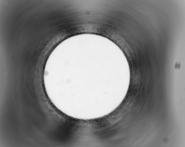 X0000103940625200810101417