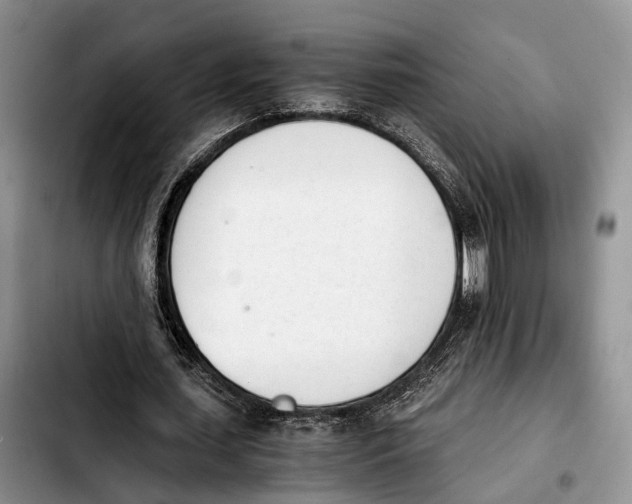 X0000103940627200810101417