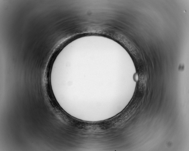 X0000103940628200810101417