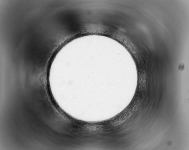 X0000103940629200810101417