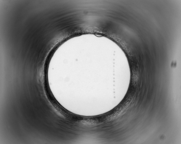 X0000103940630200810101417