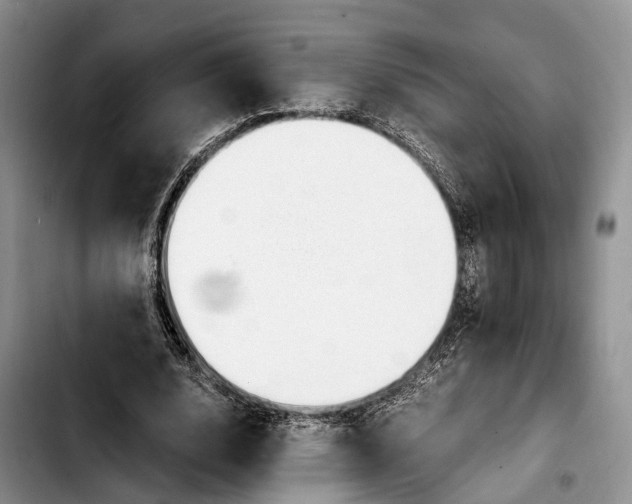 X0000103940632200810101417