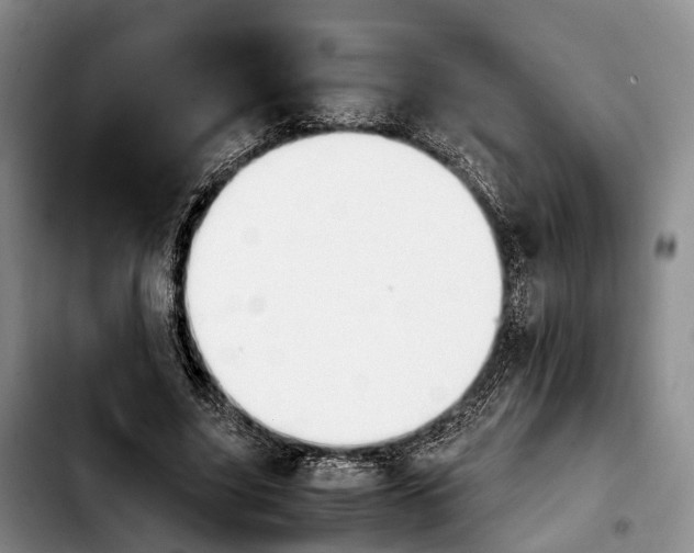 X0000103940635200810101417