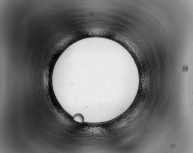 X0000103940637200810101417