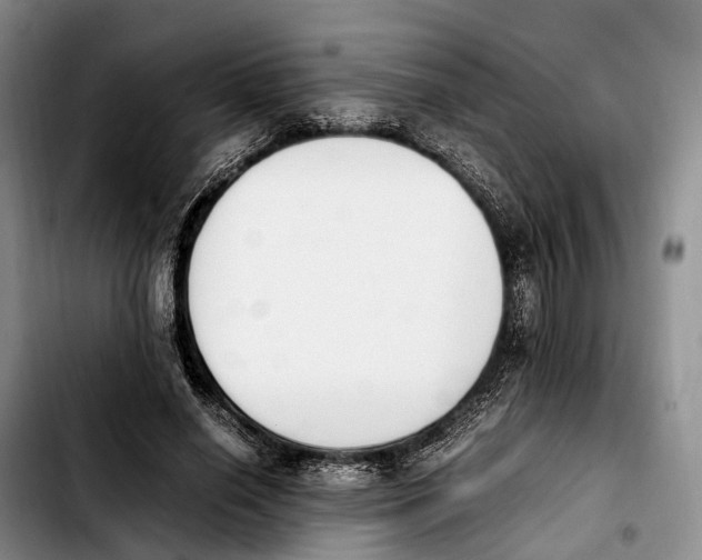 X0000103940638200810101417