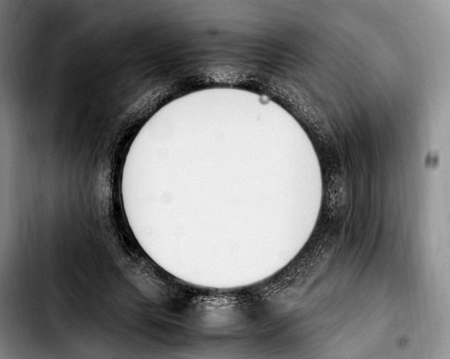 X0000103940639200810101417