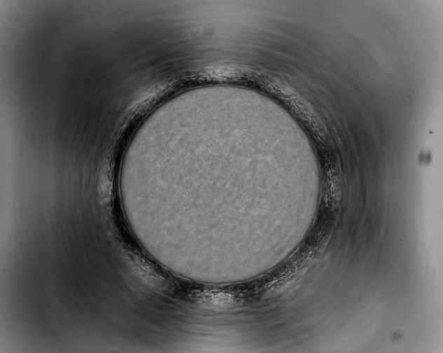 X0000103940640200810101417