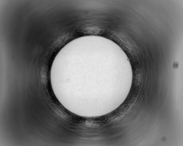 X0000103940641200810101417