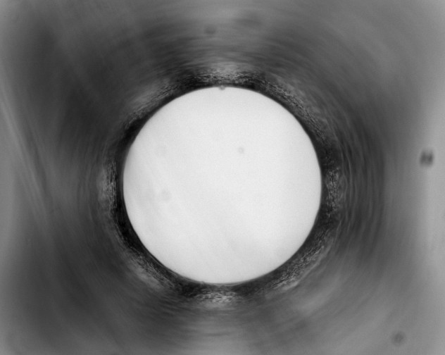 X0000103940642200810101417