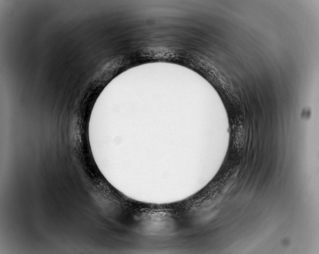 X0000103940643200810101417