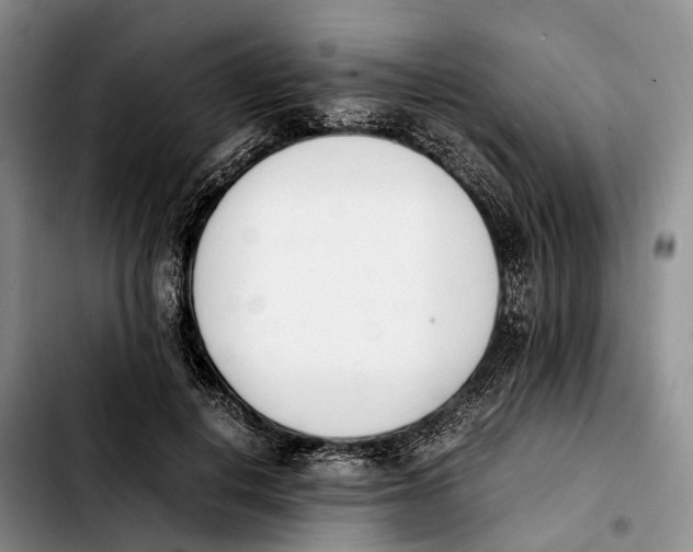 X0000103940648200810101417