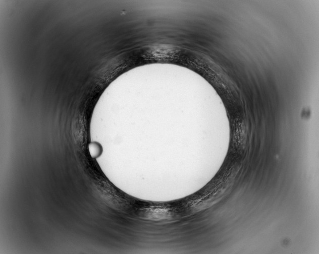 X0000103940651200810101417