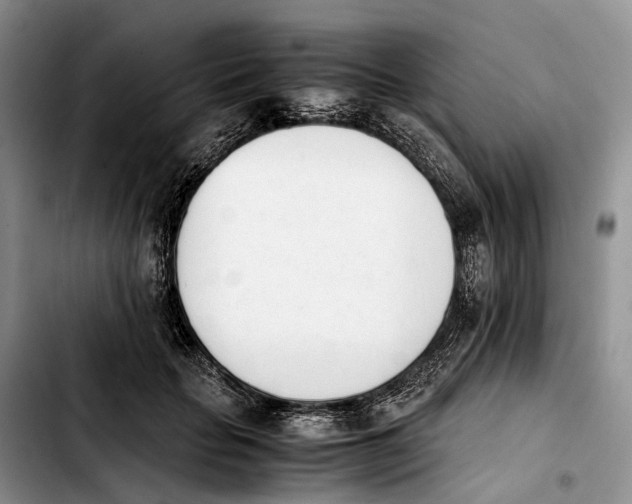 X0000103940653200810101417