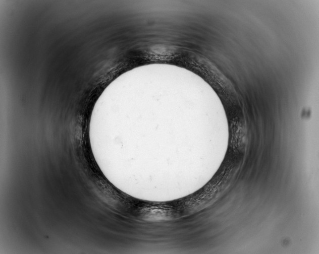 X0000103940655200810101417