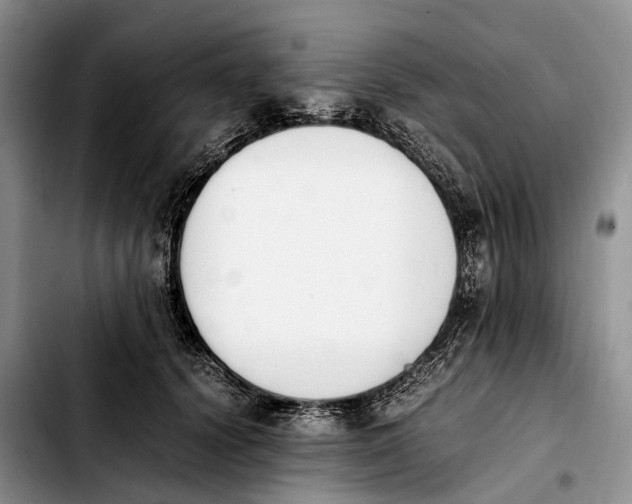 X0000103940656200810101417