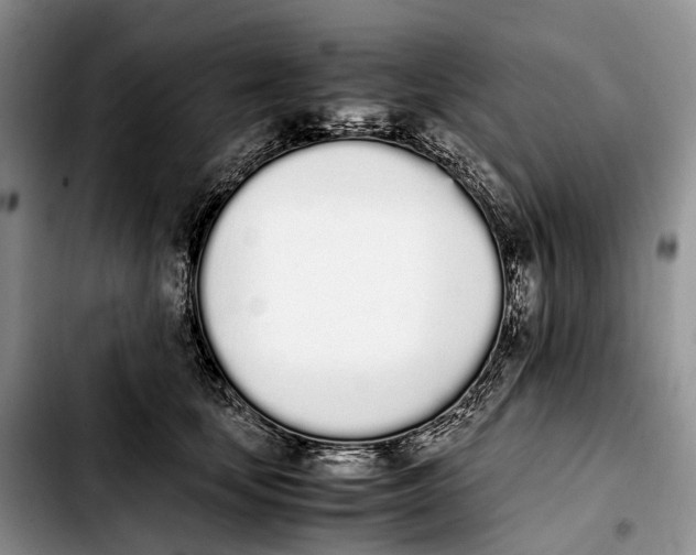 X0000103940659200810101417