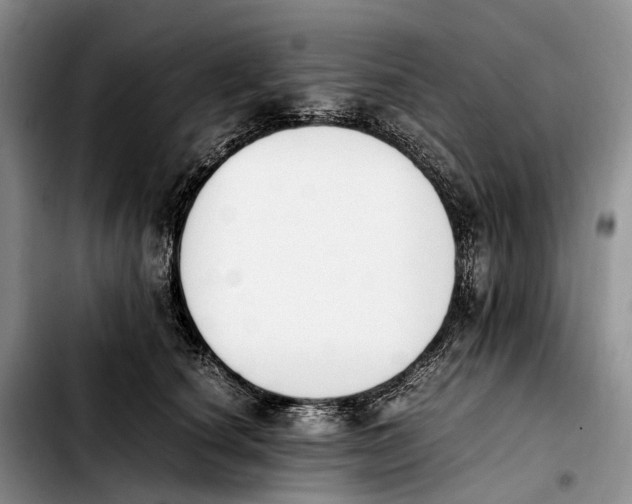 X0000103940660200810101417