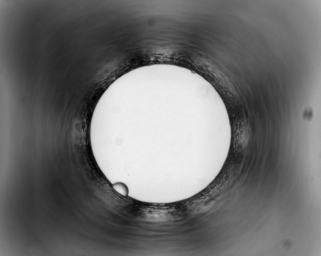 X0000103940661200810101417