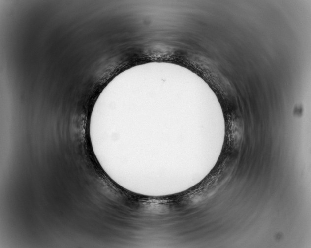 X0000103940664200810101417