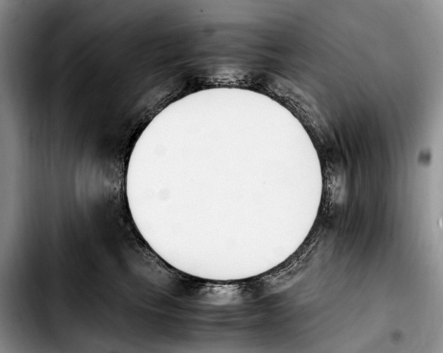 X0000103940665200810101417