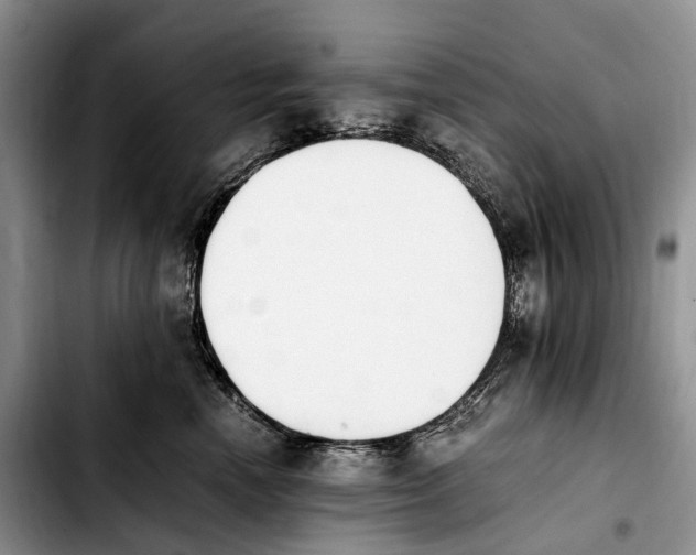 X0000103940666200810101417