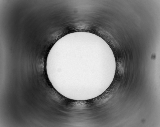 X0000103940668200810101417