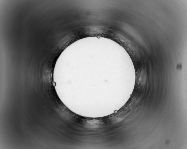 X0000103940669200810101417