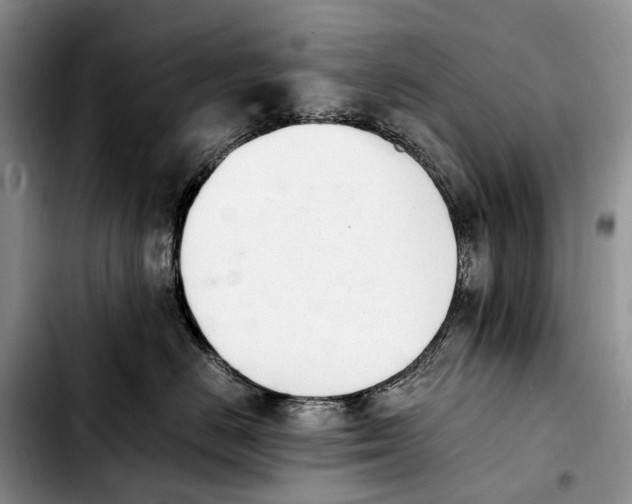 X0000103940670200810101417