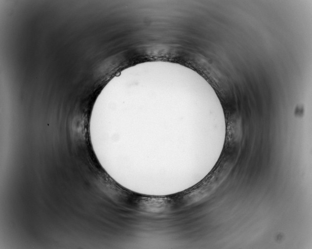 X0000103940671200810101417