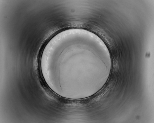 X0000103940674200810101417