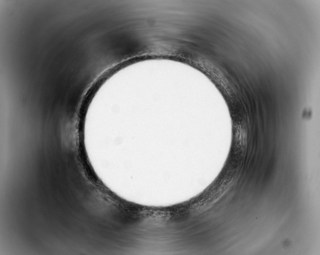 X0000103940676200810101417