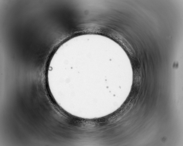 X0000103940677200810101417