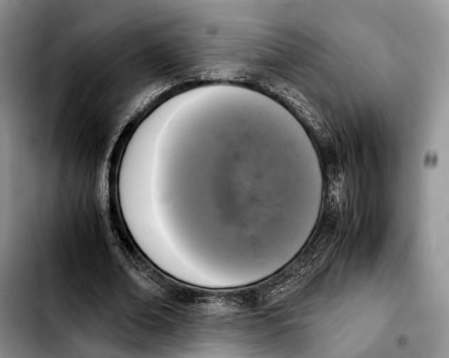 X0000103940678200810101417